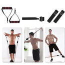 Extensores Elásticos + Mini Bands + Puxadores para Treinos